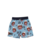 Radicool Kids - Stay Rad Tigers Boardies 